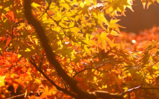 Beautiful Fall place autumn backgrounds aesthetic iphone wallpaper