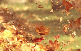 Beautiful place fall background iphone 12 wallpaper