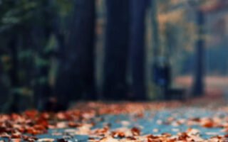 Best fall background lockscreen for iphone 11 wallpaper