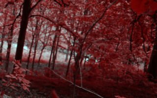 Best fall rain wallpaper iphone 14 Background