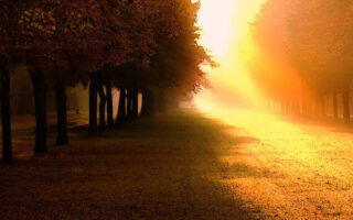 Beyond belief Nature and fall rain wallpaper iphone 14 Background