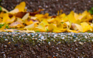 Cool fall background and lockscreen for iphone 11 wallpaper