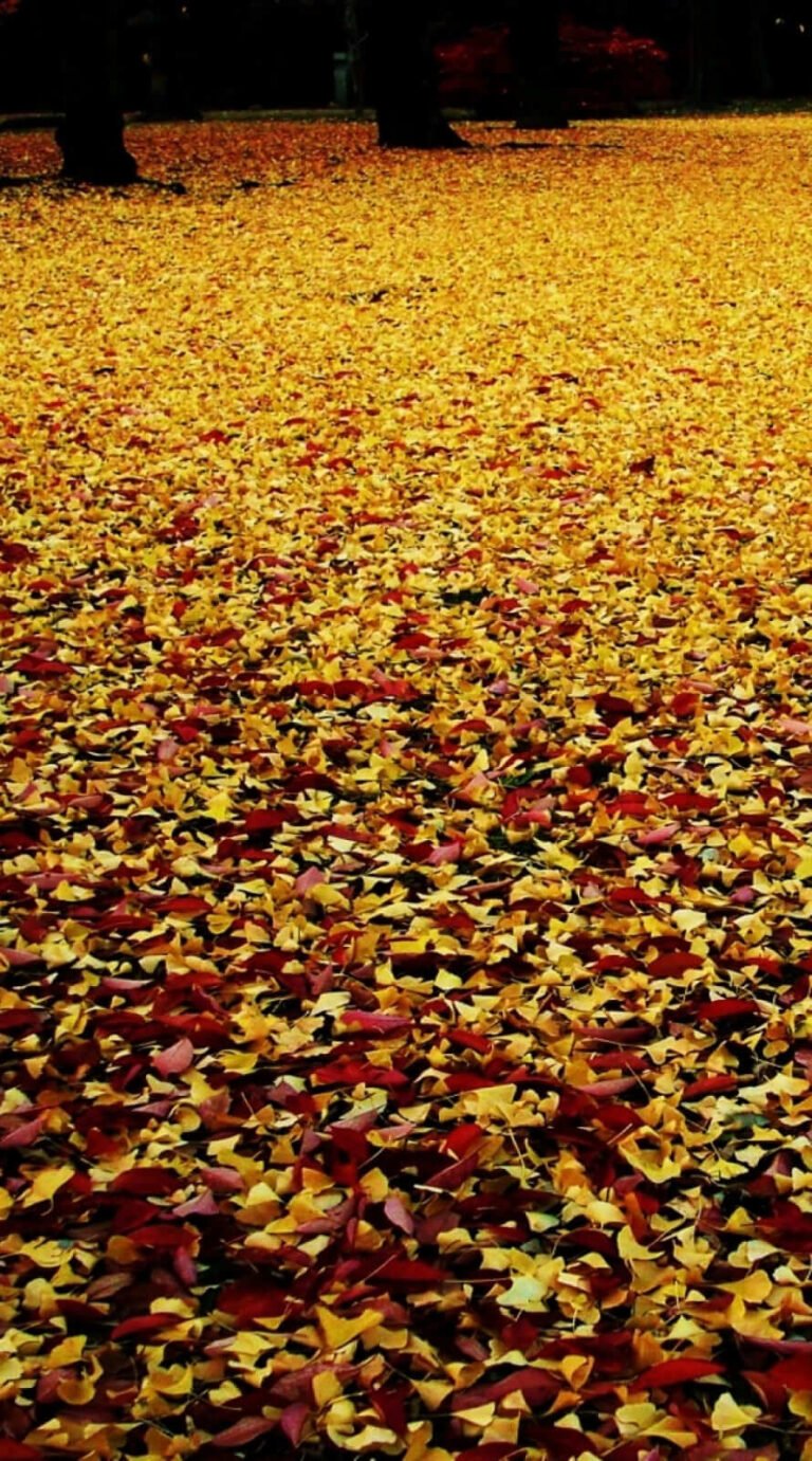 Cool iphone wallpapers iphone 14 Background