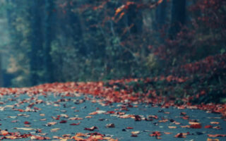 Its Cool iphone wallpapers iphone 14 Background