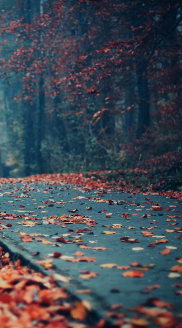 Its Cool iphone wallpapers iphone 14 Background