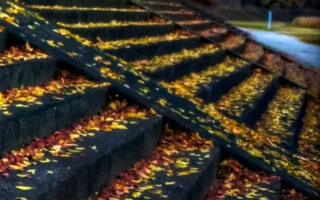 Nice fall background iphone 12 pro max wallpaper