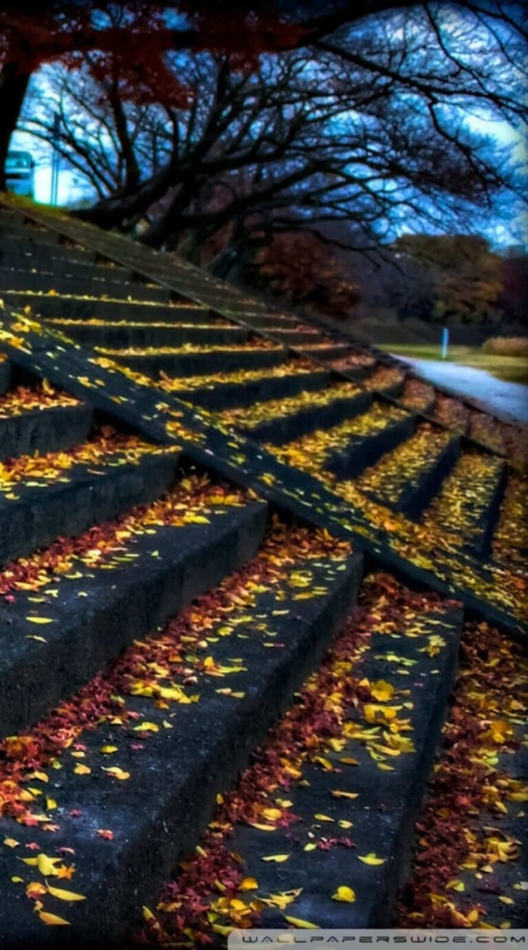 Nice fall background iphone 12 pro max wallpaper