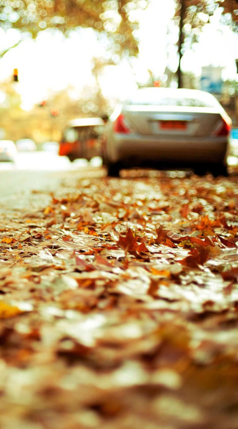 Super Cool iphone wallpapers in City Fall background
