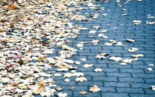 Super cute city fall background iphone 14 wallpaper