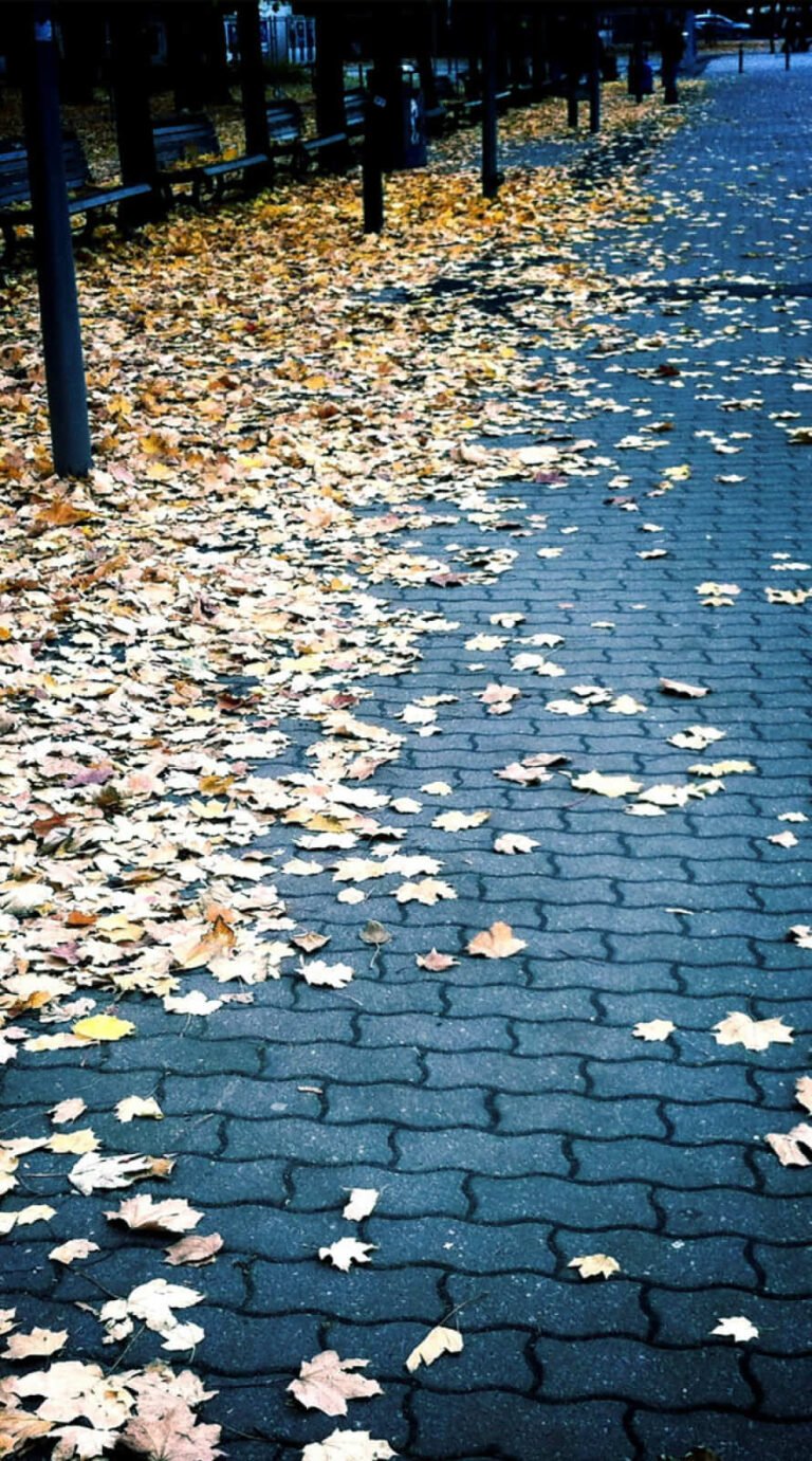 Super cute city fall background iphone 14 wallpaper