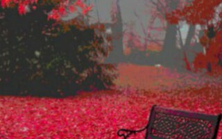 Super cute red nature fall background iphone 14 wallpaper