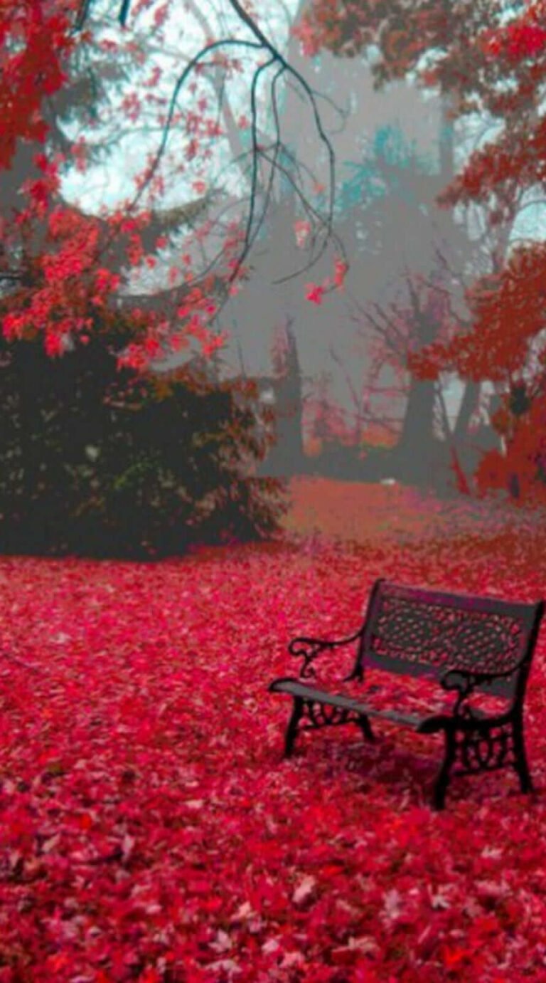 Super cute red nature fall background iphone 14 wallpaper