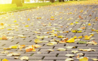 Super cute road fall background iphone 14 wallpapers