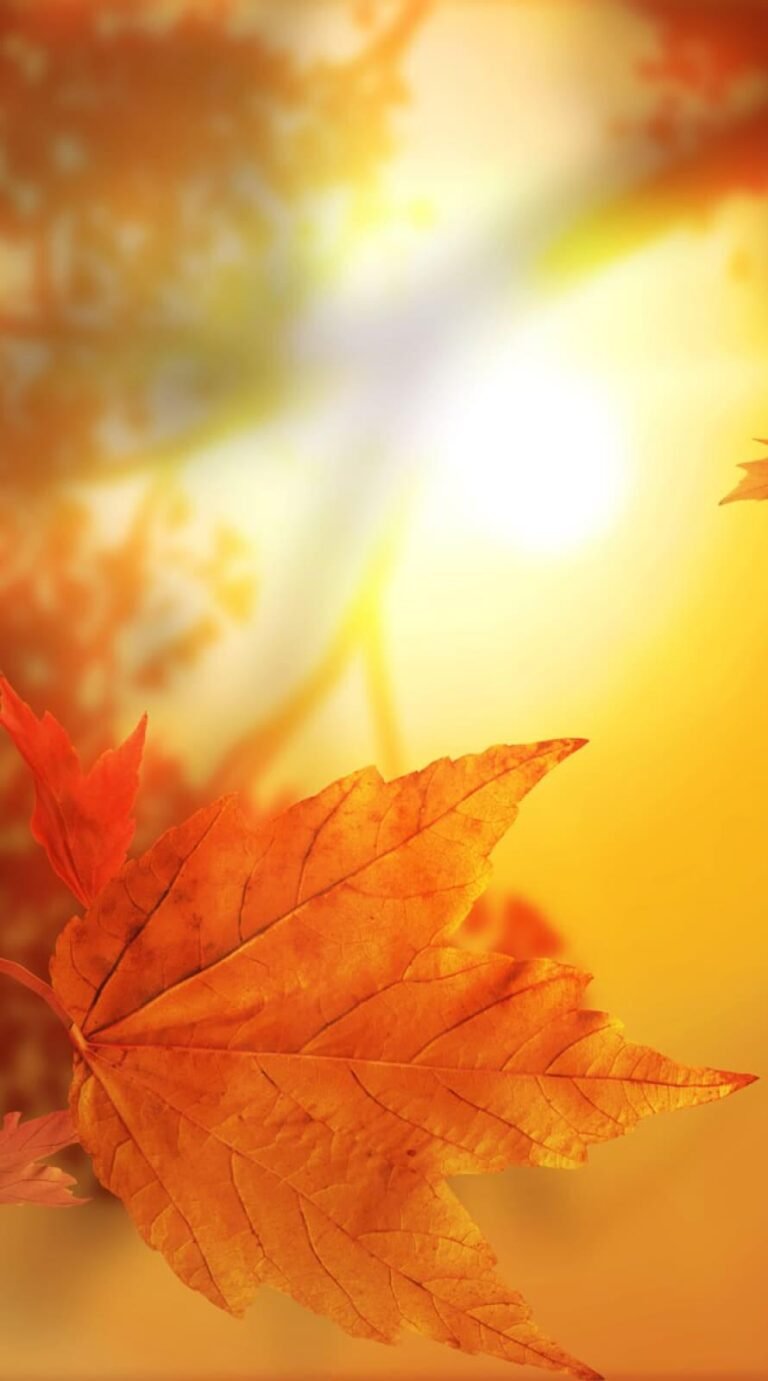 SuperCute fall rain wallpaper iphone 14 Background