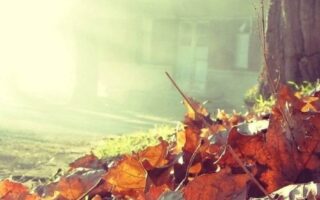 The Best Fall autumn backgrounds aesthetic iphone wallpaper