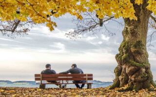Unimaginable Fall Background Sitting on a Bench While the Yellow Leaves Fall