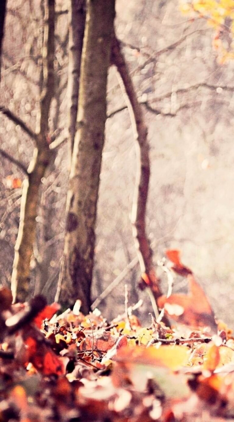 Yes its Superb iphone wallpapers iphone 14 Background