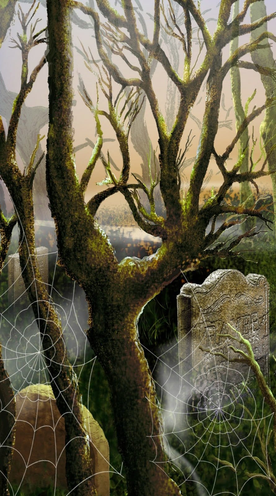 Spider free halloween background for iphone 14 wallpaper 5