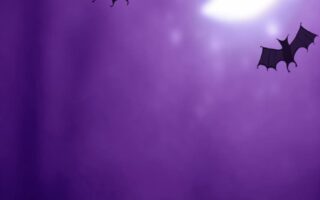 night moon free halloween background for iphone 14 wallpaper 10