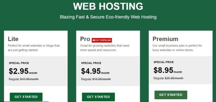 web hosting 2
